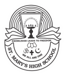 SMS LOGO_White